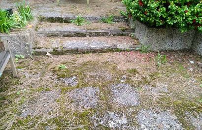 Eine mit Moos bewachsene Treppe und im Hintergrund eine Bank.