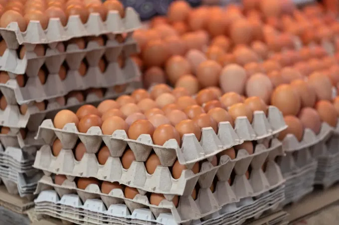 Montones de cartones de huevos llenos de huevos de gallina marrones en un mercado.