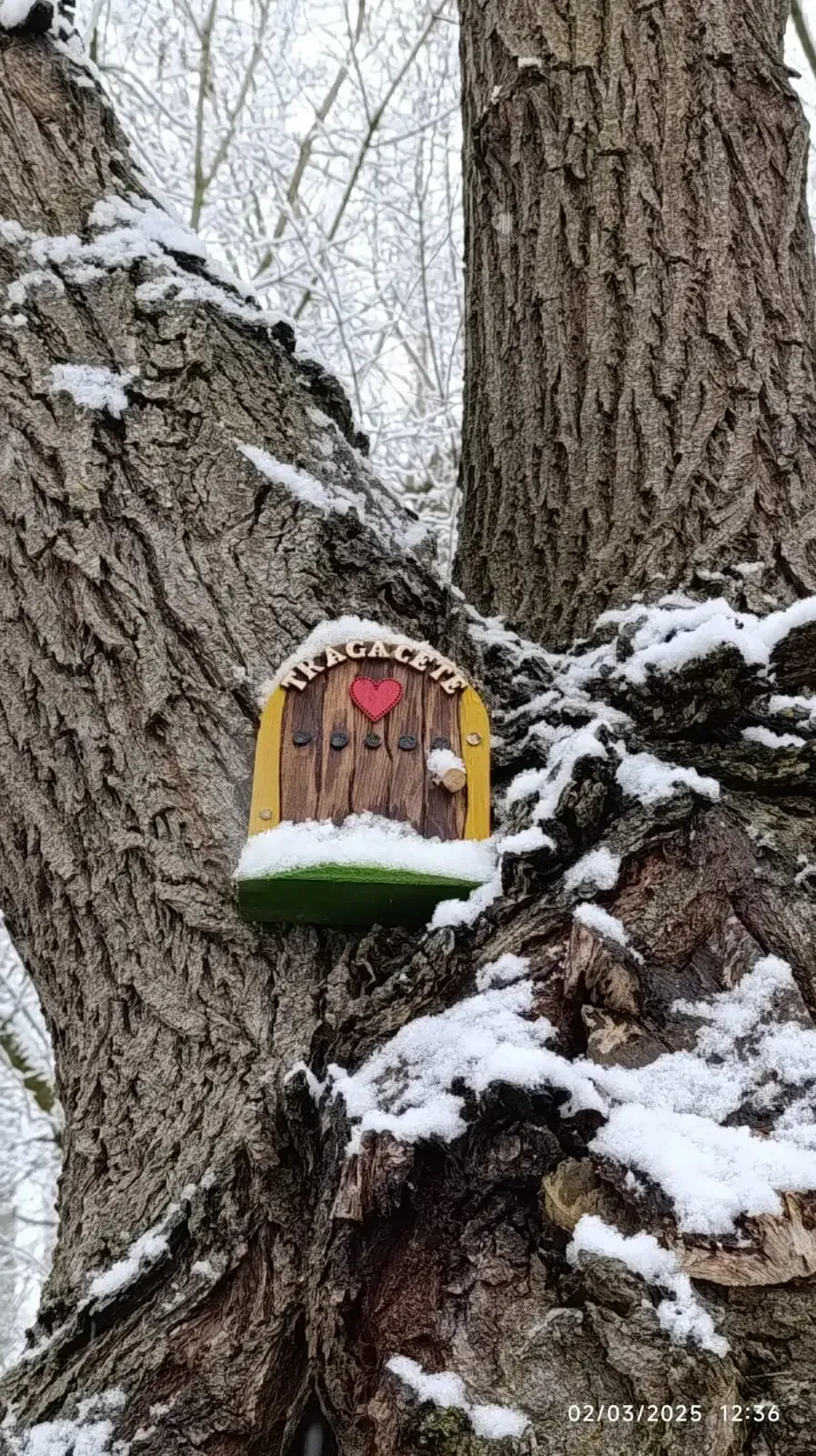 Una puerta de hadas está sentada en un árbol en la nieve.