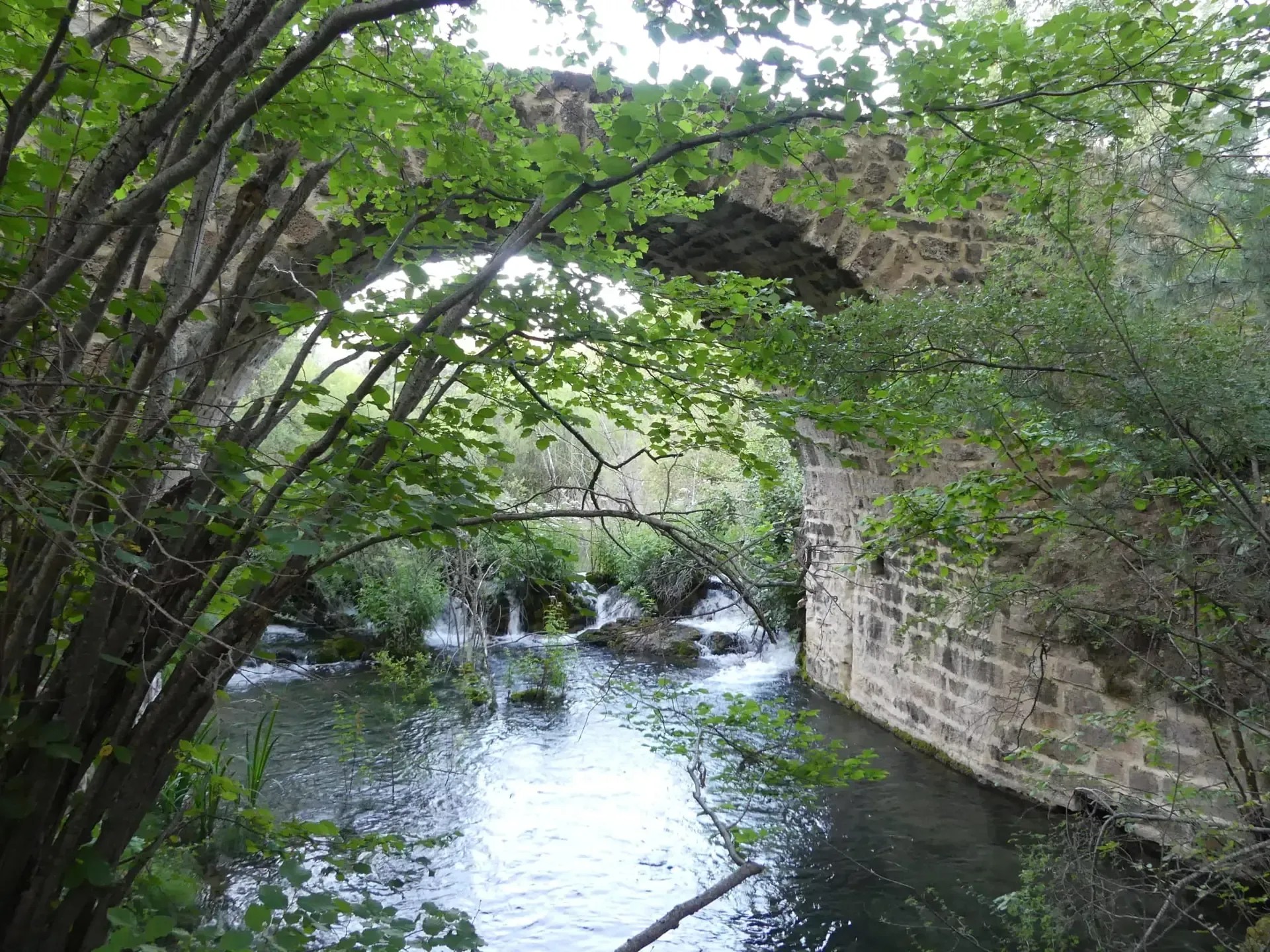 Un puente de piedra sobre un río rodeado de árboles y hojas.