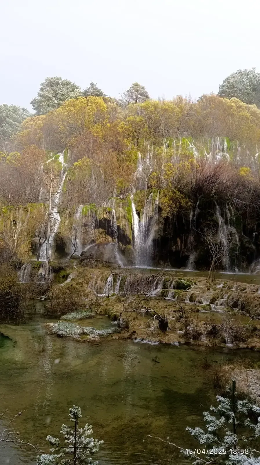 Una cascada en medio de un bosque al lado de un río.