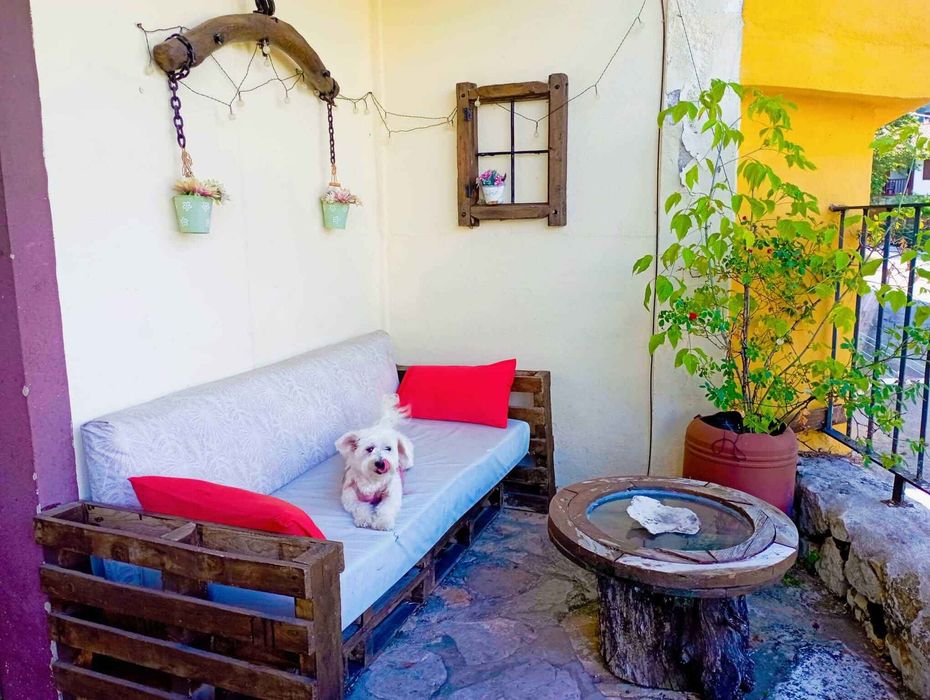 Un perro pequeño está sentado en un sofá de madera en un patio.