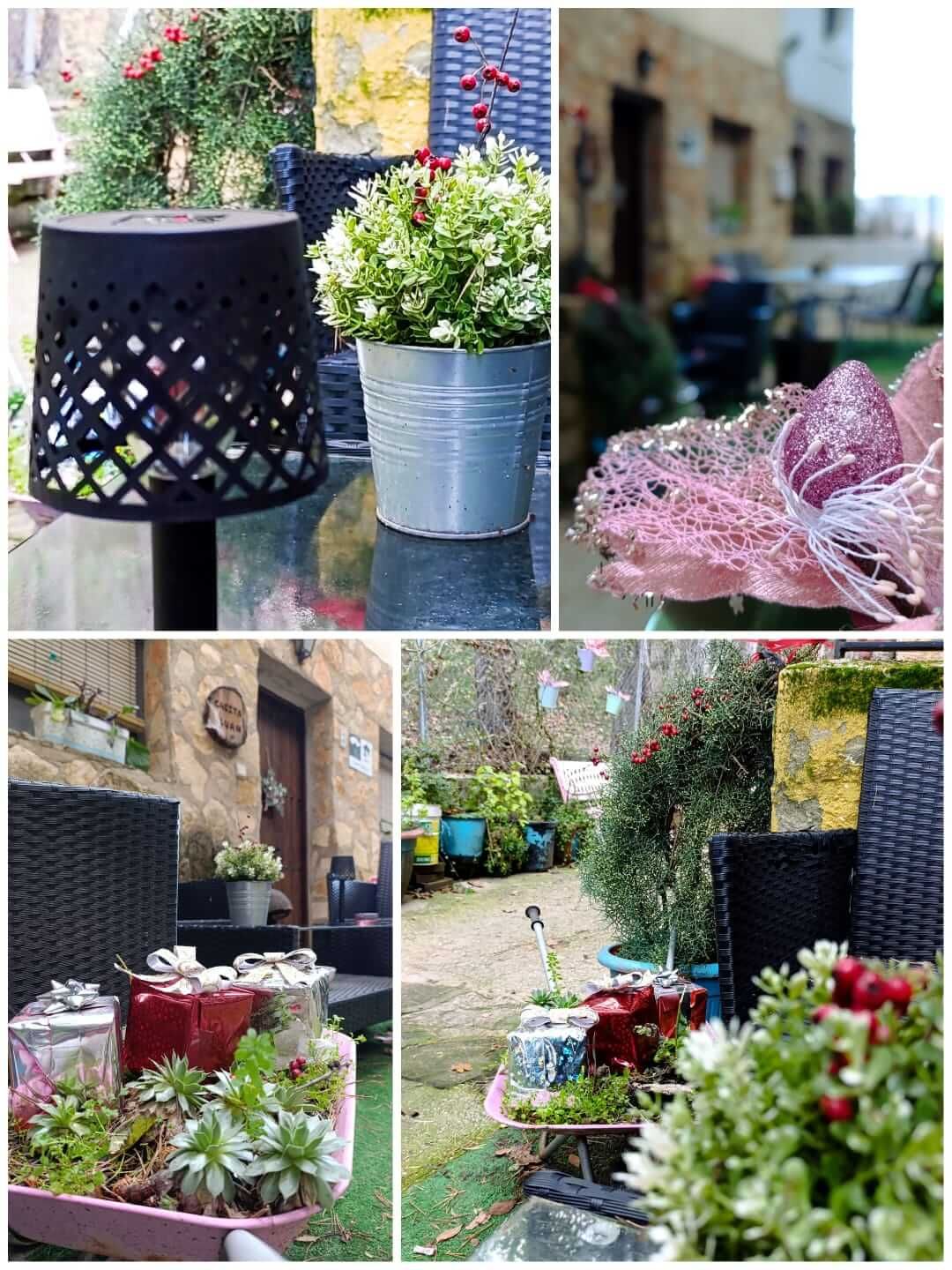 Un collage de imágenes de flores en macetas sobre una mesa.