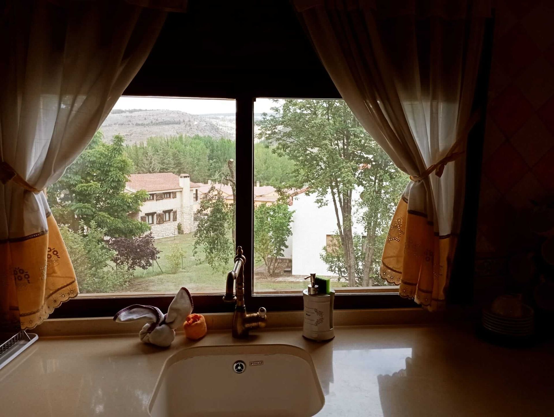 Un fregadero de cocina con vista desde una ventana.