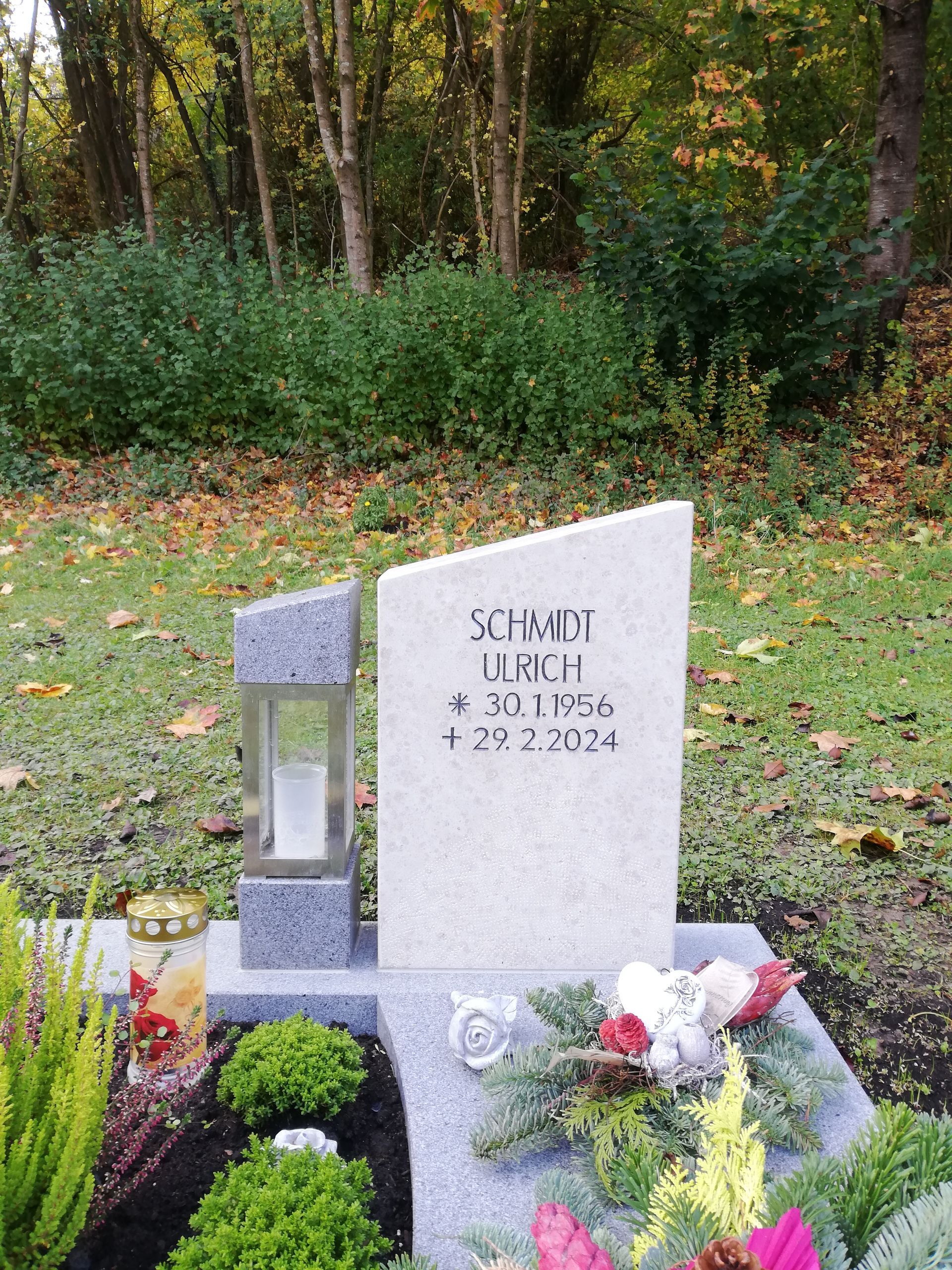 Grabstein auf einem Friedhof vor einer grünen Waldkulisse