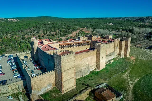 Una vista aérea de un gran castillo rodeado de árboles.