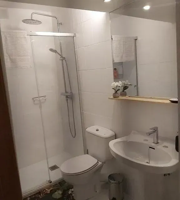 Un baño con inodoro, lavabo, ducha y espejo.
