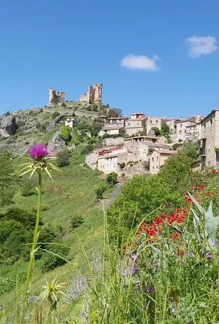 Una flor violeta está en primer plano de un paisaje con un castillo al fondo.