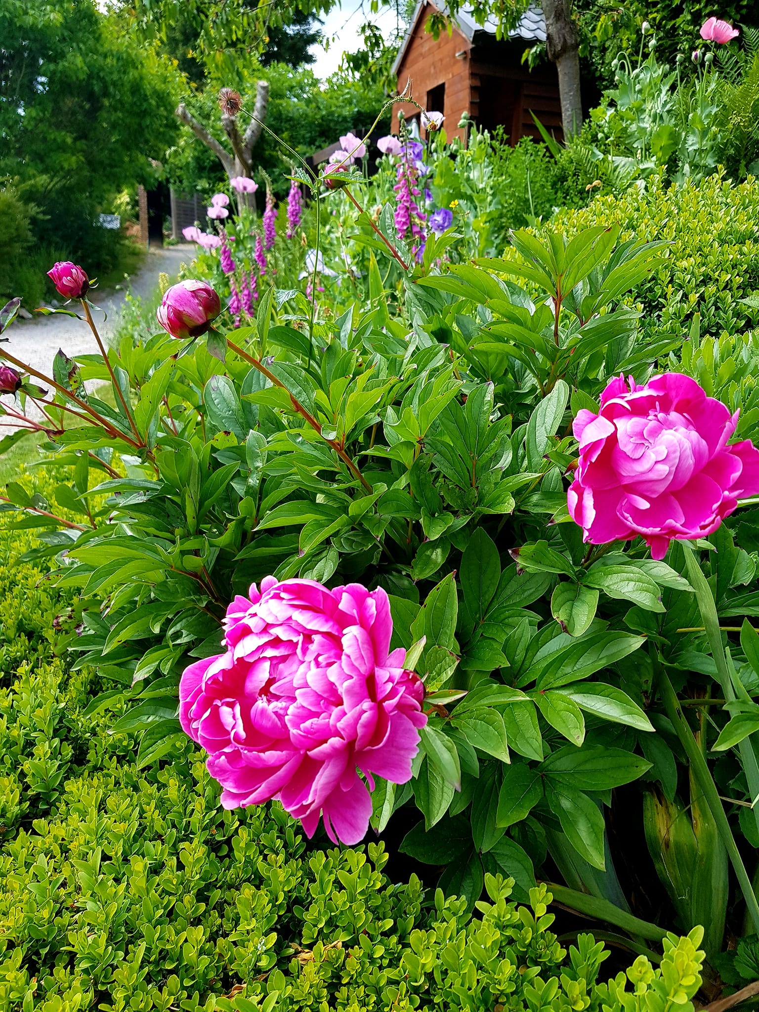 Décorations dans un jardin