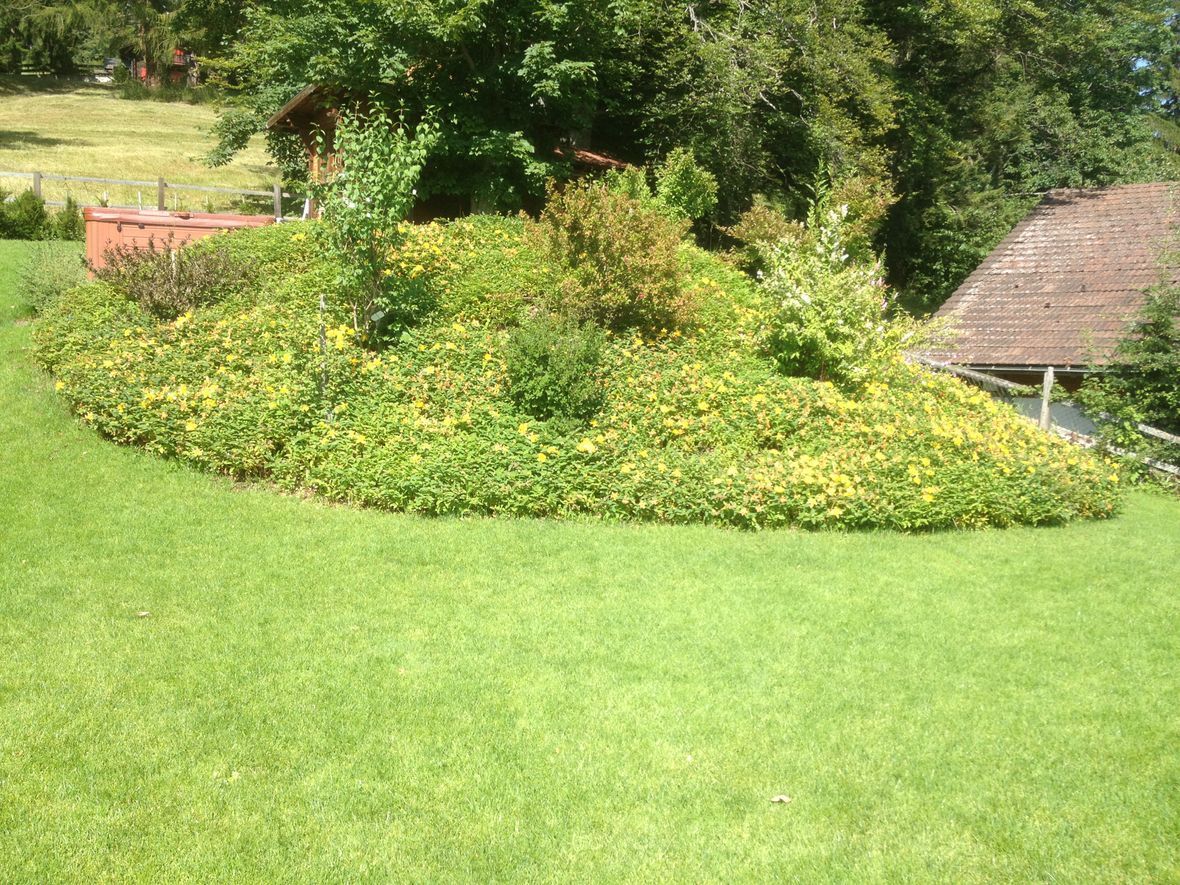 Jardibois - Création et entretien d'espaces vert