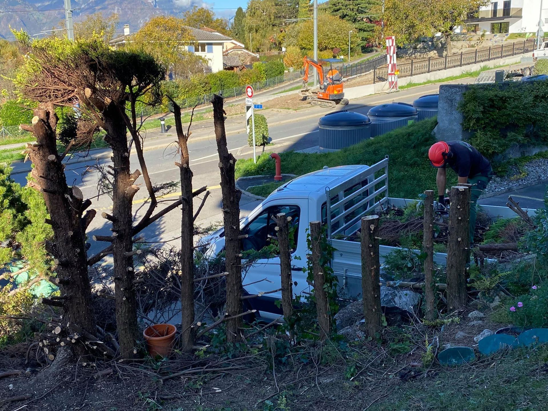 Jardibois - Coupes d'une ancienne haie de Thuyas et cyprès à Ollon