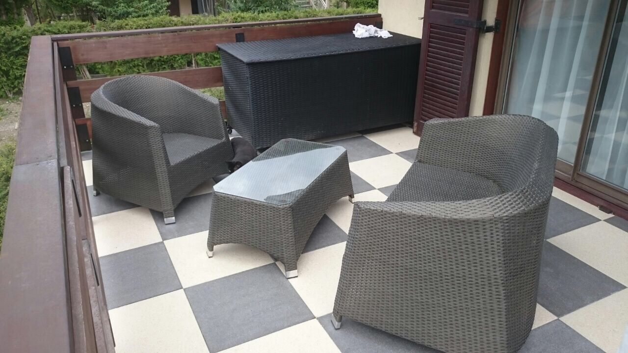 Jardibois - Plantations d'une haie de photinias et d'un palmier