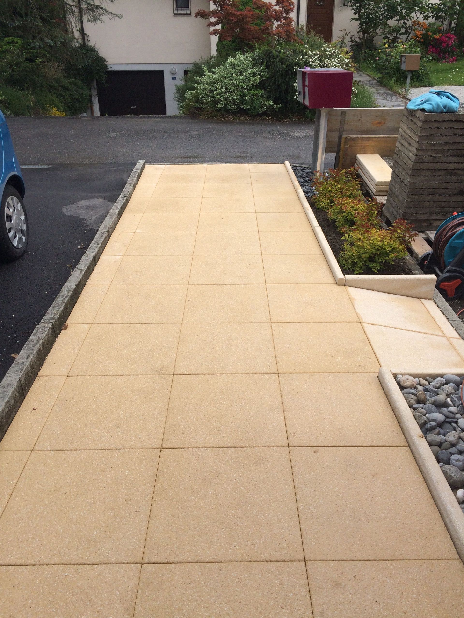 Jardibois - Plantations d'une haie de photinias et d'un palmier