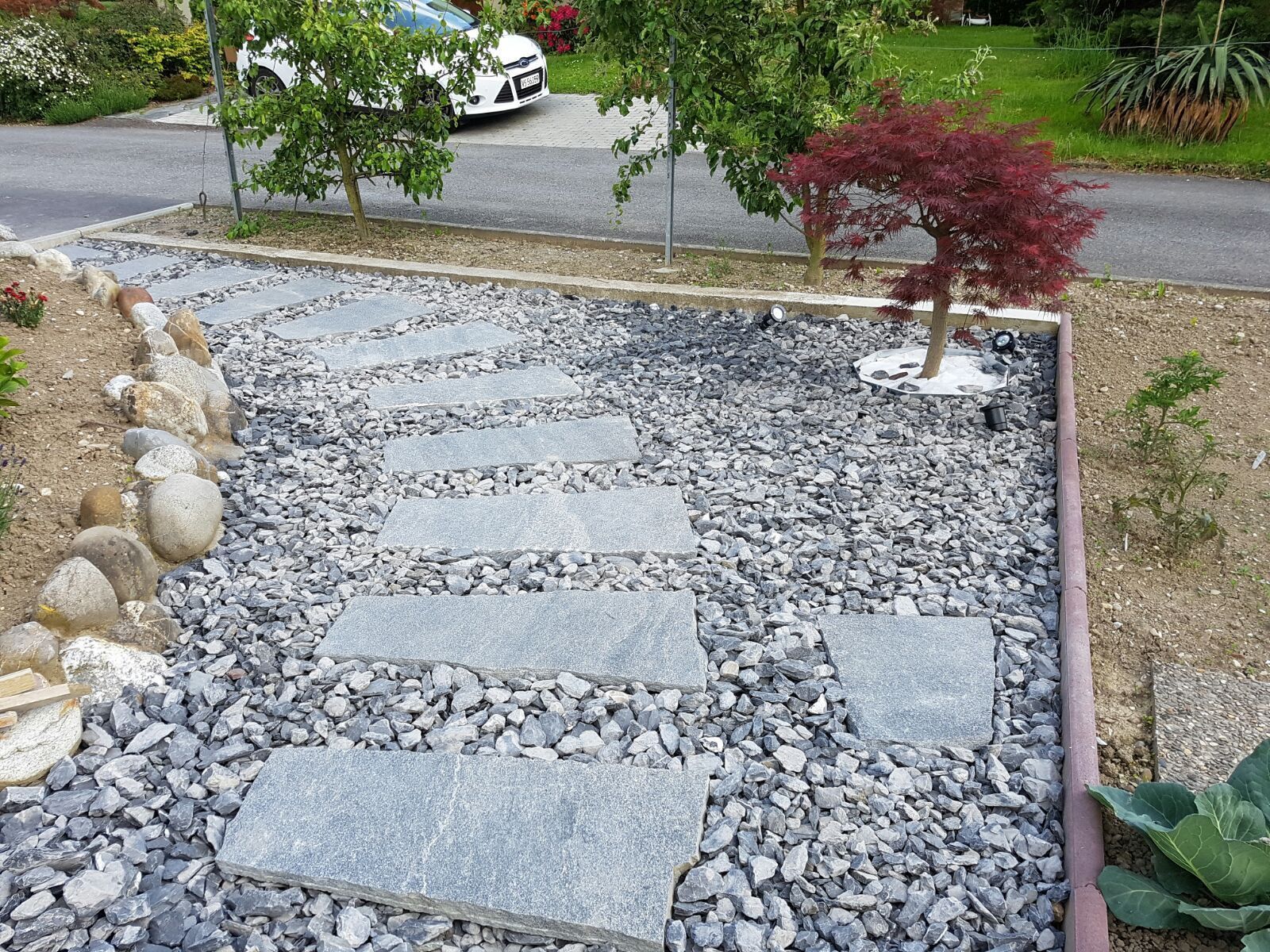 Jardibois - Plantations d'une haie de photinias et d'un palmier