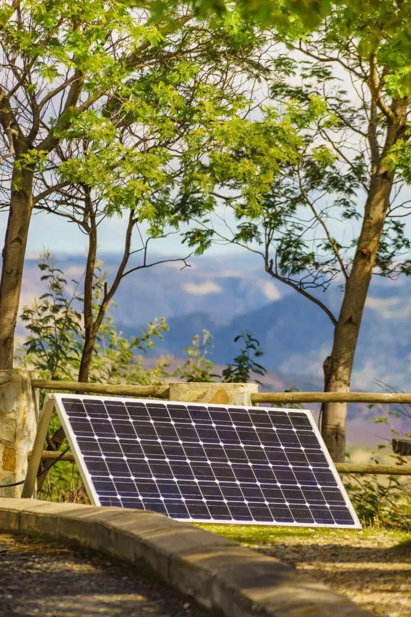Un panel solar está situado al costado de una carretera frente a unos árboles.