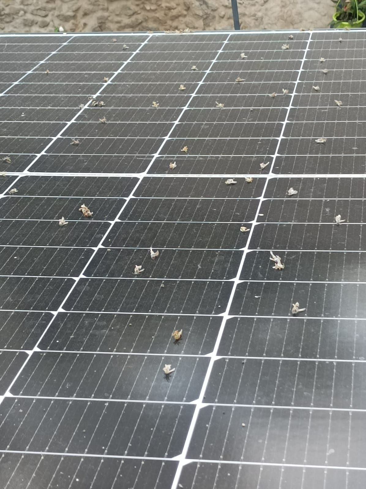 Une rangée de panneaux solaires noirs avec des lignes blanches