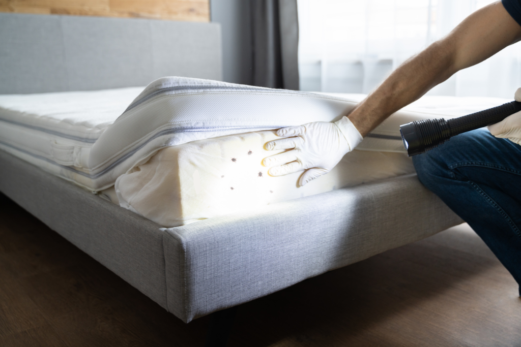 Un homme nettoie un matelas avec un aspirateur.