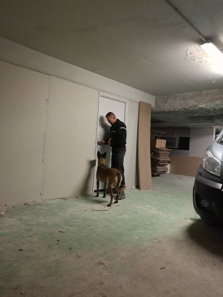 Professionnel et son chien en pleine ronde dans un sous-sol