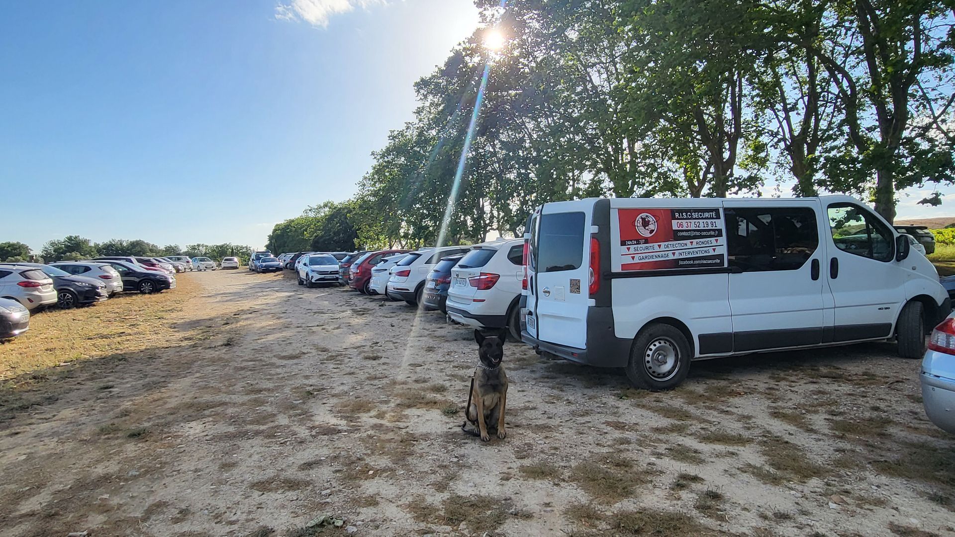 Chien faisant la pose au parking