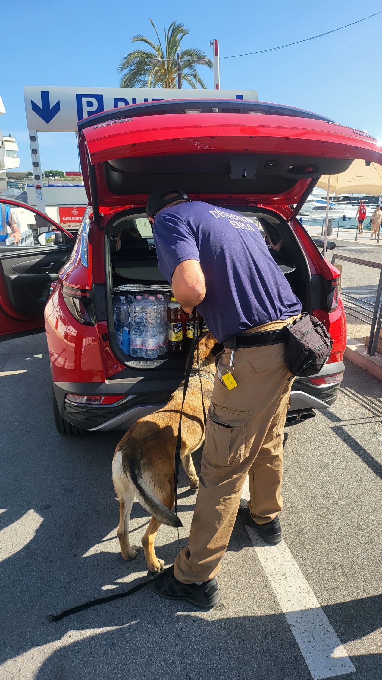 Agent cynophile entrain d'inspecter le coffre d'une voiture
