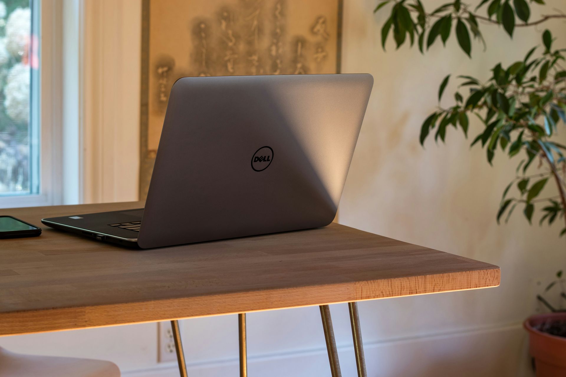 Un portátil Dell abierto sobre una mesa de madera en una habitación luminosa con plantas y una ventana.
