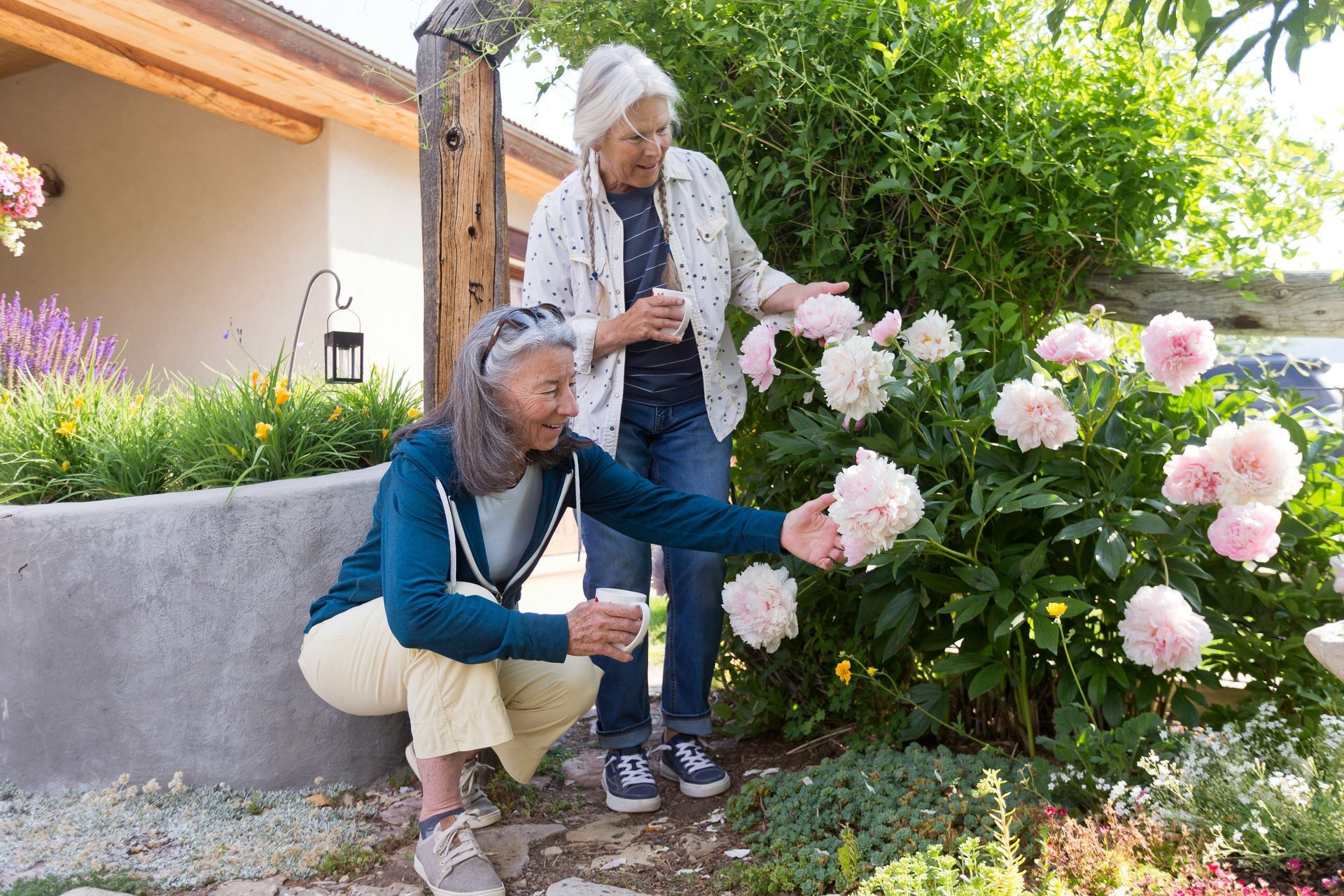 Dos personas cuidando rosas rosadas en un jardín junto a una casa.