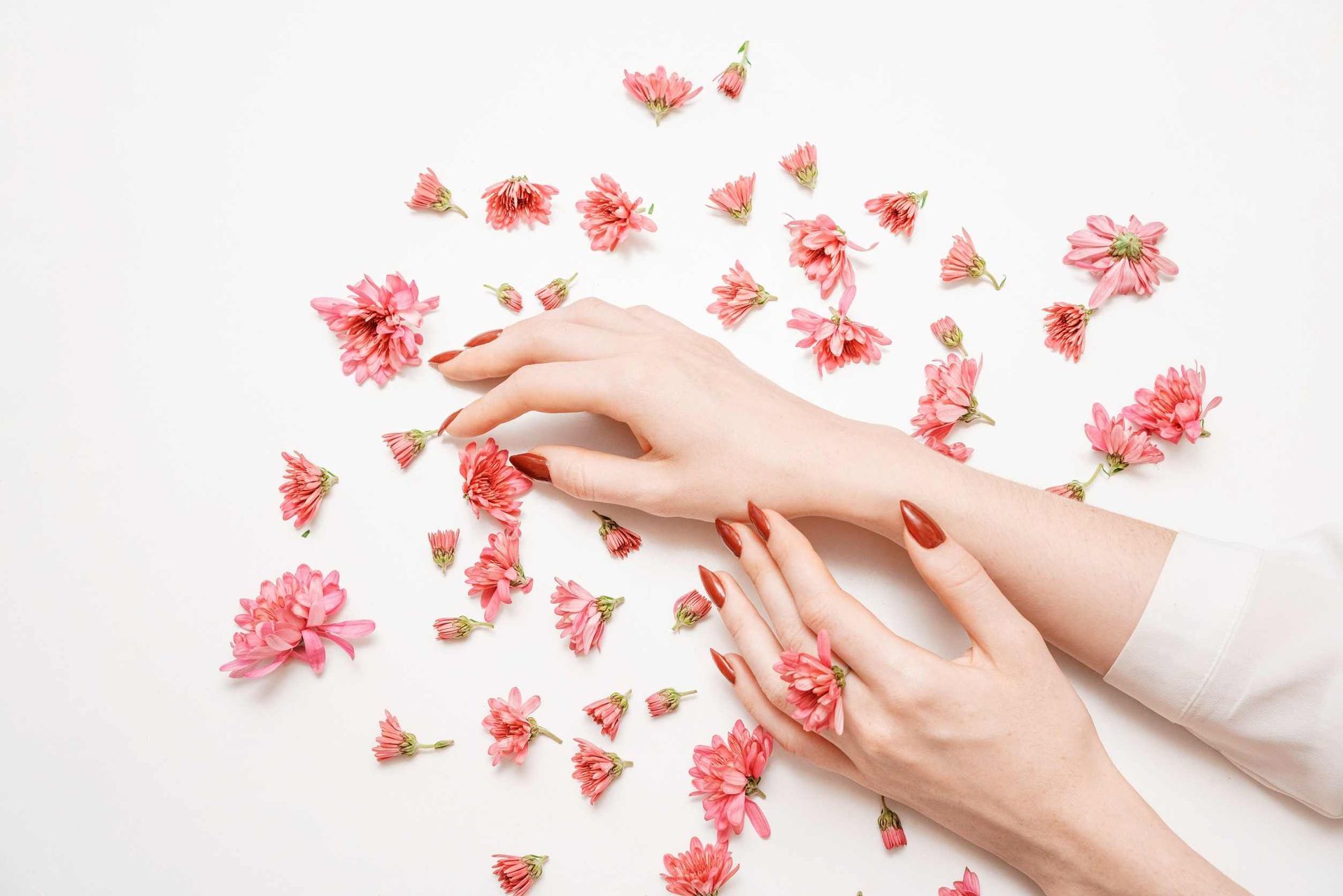 Las manos de una mujer están rodeadas de flores rosas sobre un fondo blanco.
