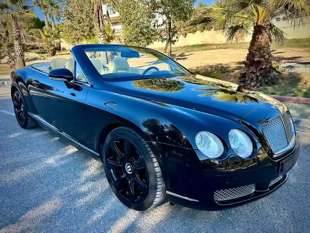 Coche deportivo descapotable negro aparcado en una carretera soleada con palmeras al fondo.