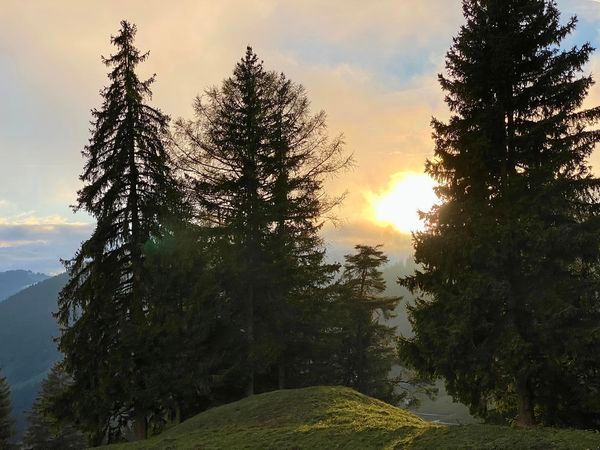 emile-therapie-energie | Les Moulins