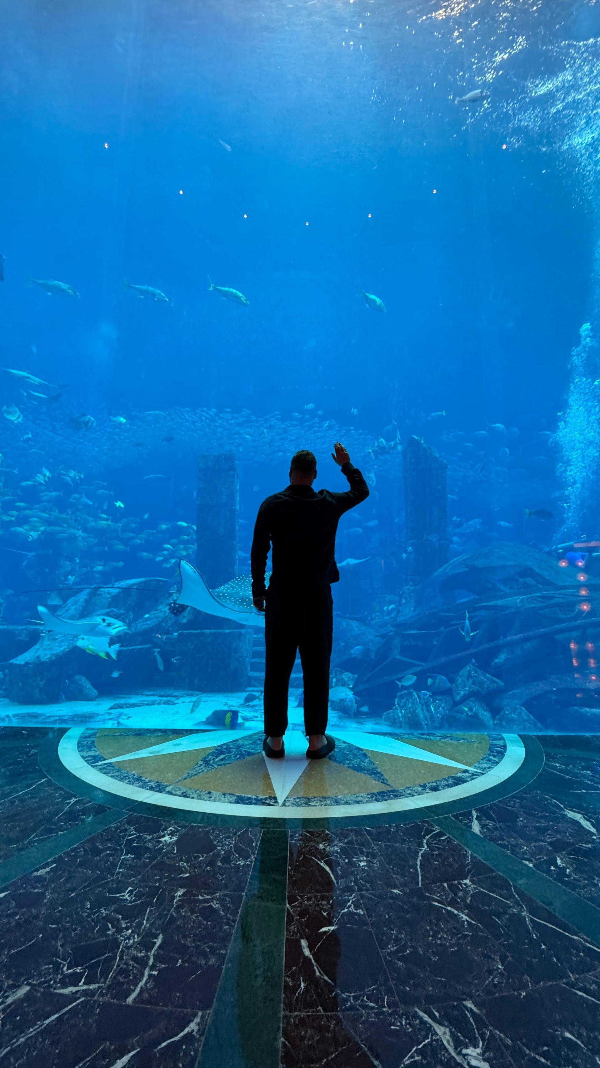 Man standing before a large aquarium, gesturing upward. Dark suit against blue water filled with sea creatures.