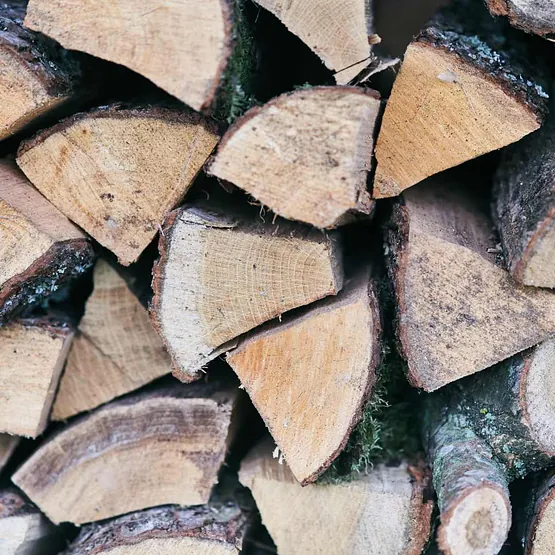 Troncos de leña cortados, apilados con corteza áspera y extremos de madera pálida, llenan el marco.