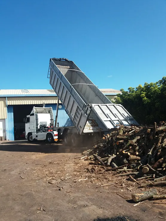 Un camión volquete eleva su caja junto a una pila de leña en un patio industrial bajo un cielo azul despejado.