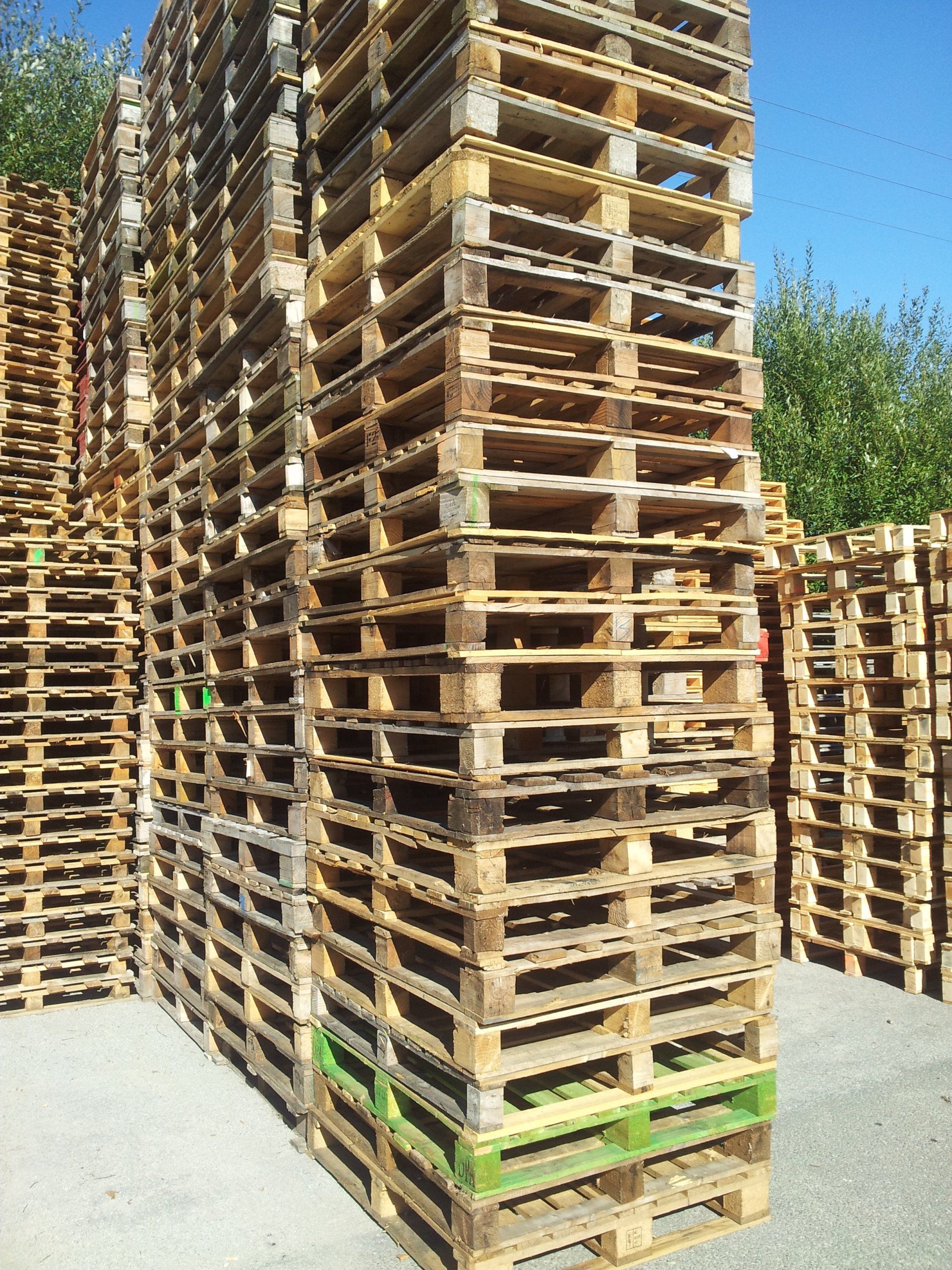 Montagne de palettes en bois