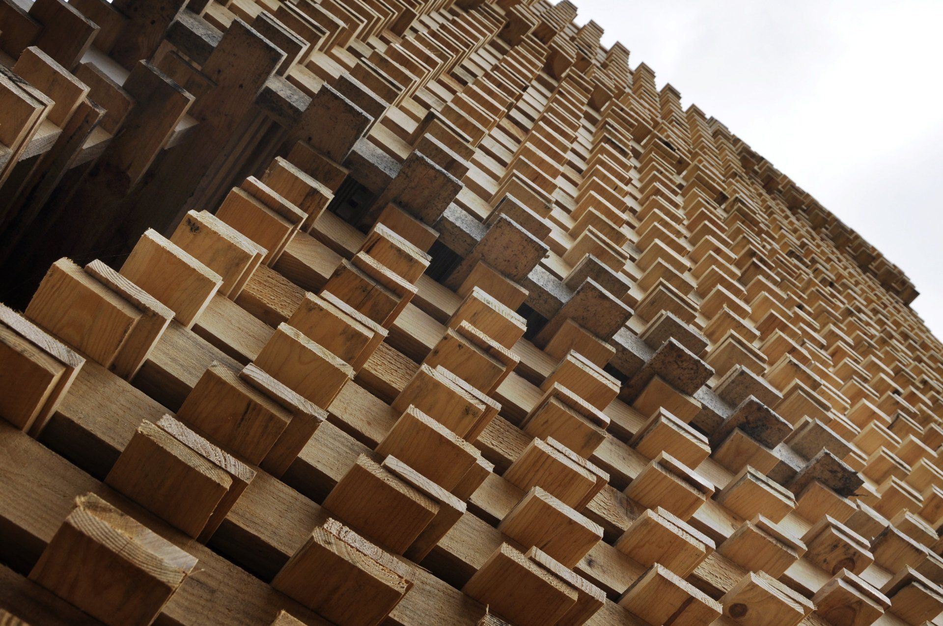 Un large choix de palettes en bois