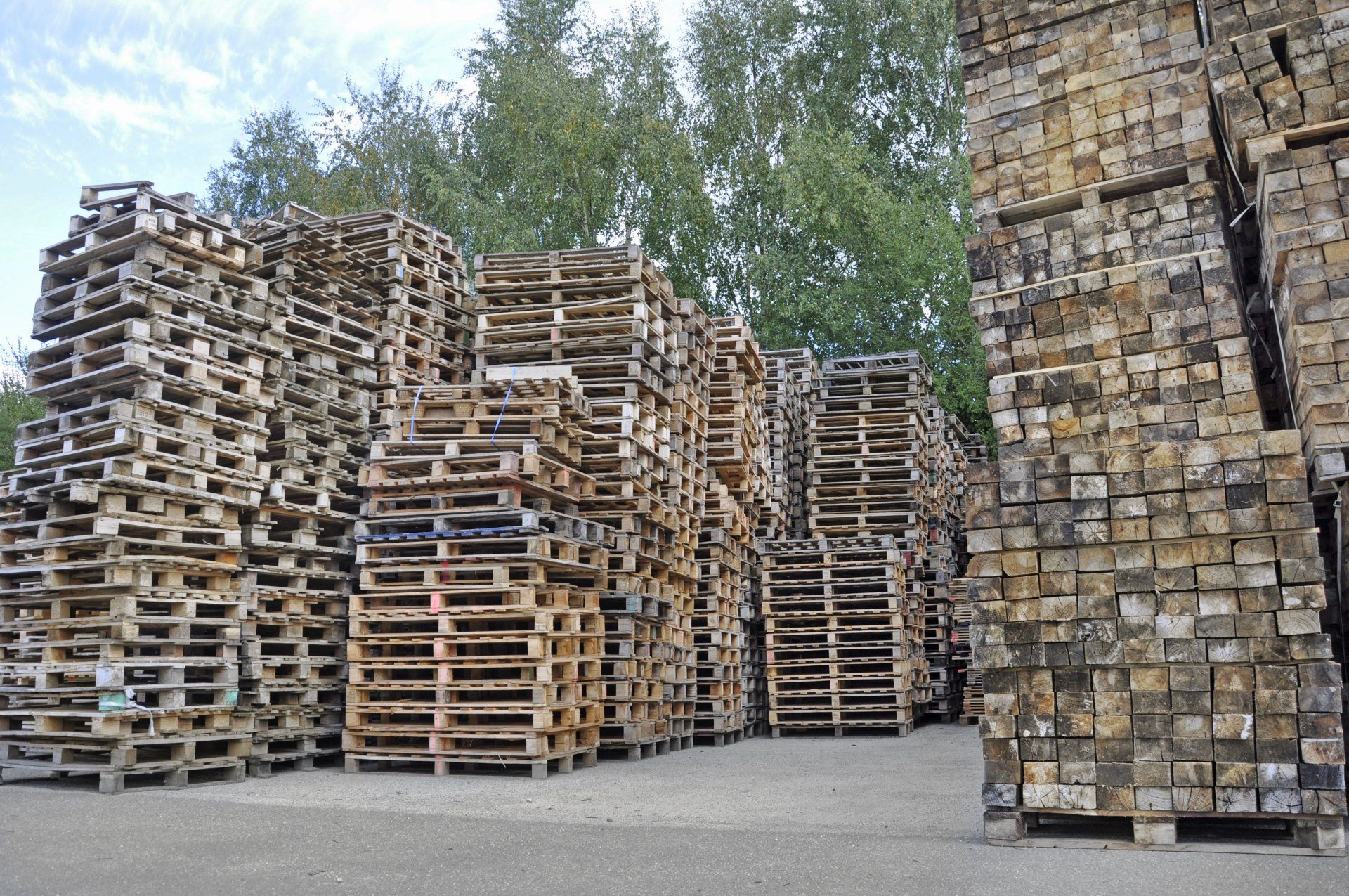 Expert en vente de palettes en bois