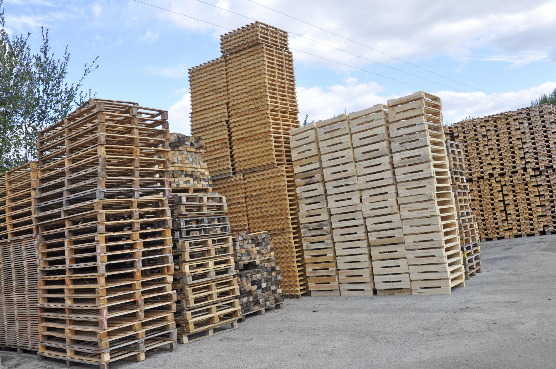 vente de palettes en bois