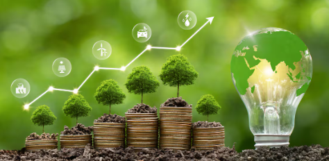 Concepto de energía verde: monedas que hacen crecer árboles, un gráfico ascendente y un globo brillante en una bombilla.