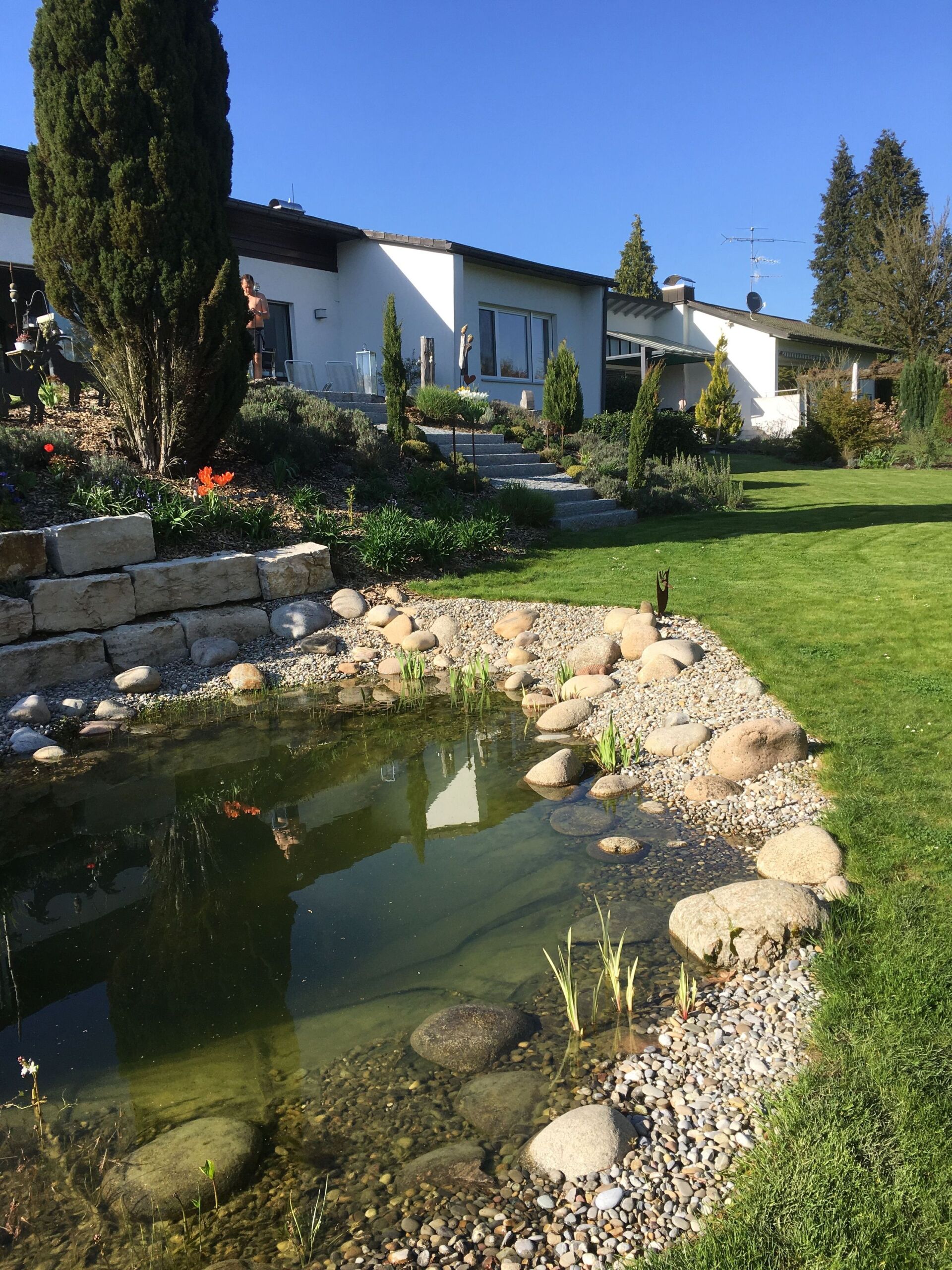 Naturbelassene Teichanlage mit Rasen vor dem Haus