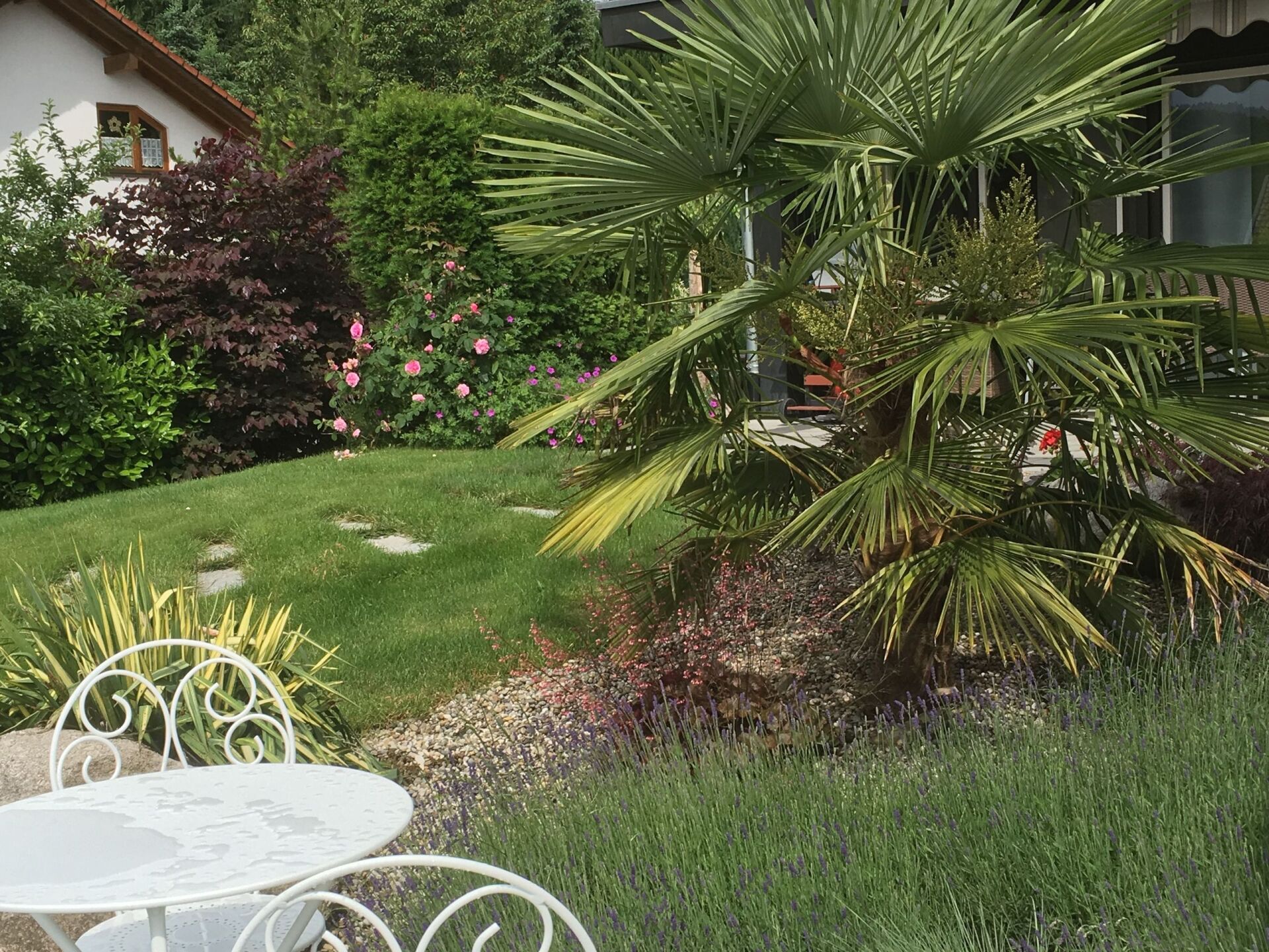 Palmen und gepflegter Rasen mit Gartengarnitur vor dem Haus