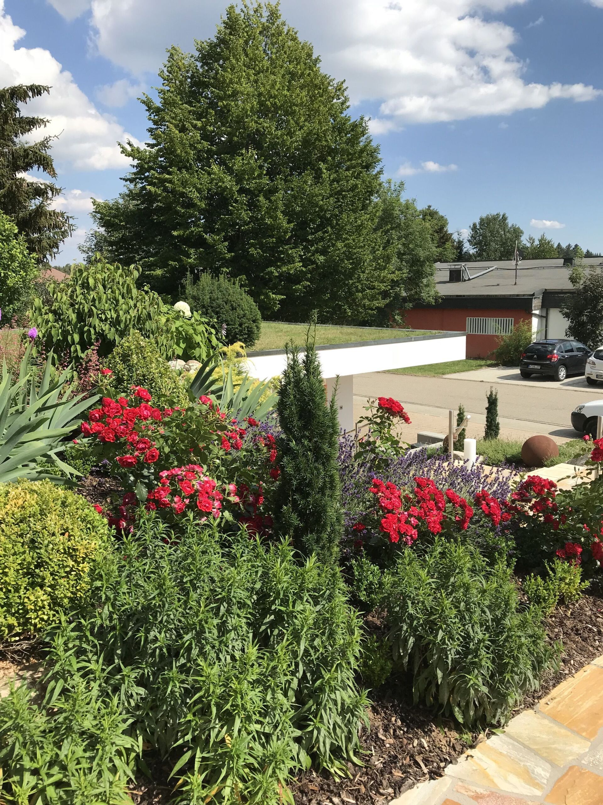 Begrünter Garten mit bunten Blumen und Zypressen