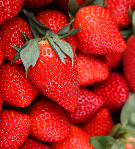 Gros plan sur des fraises rouges fraîches, certaines avec des feuilles vertes, empilées les unes sur les autres.
