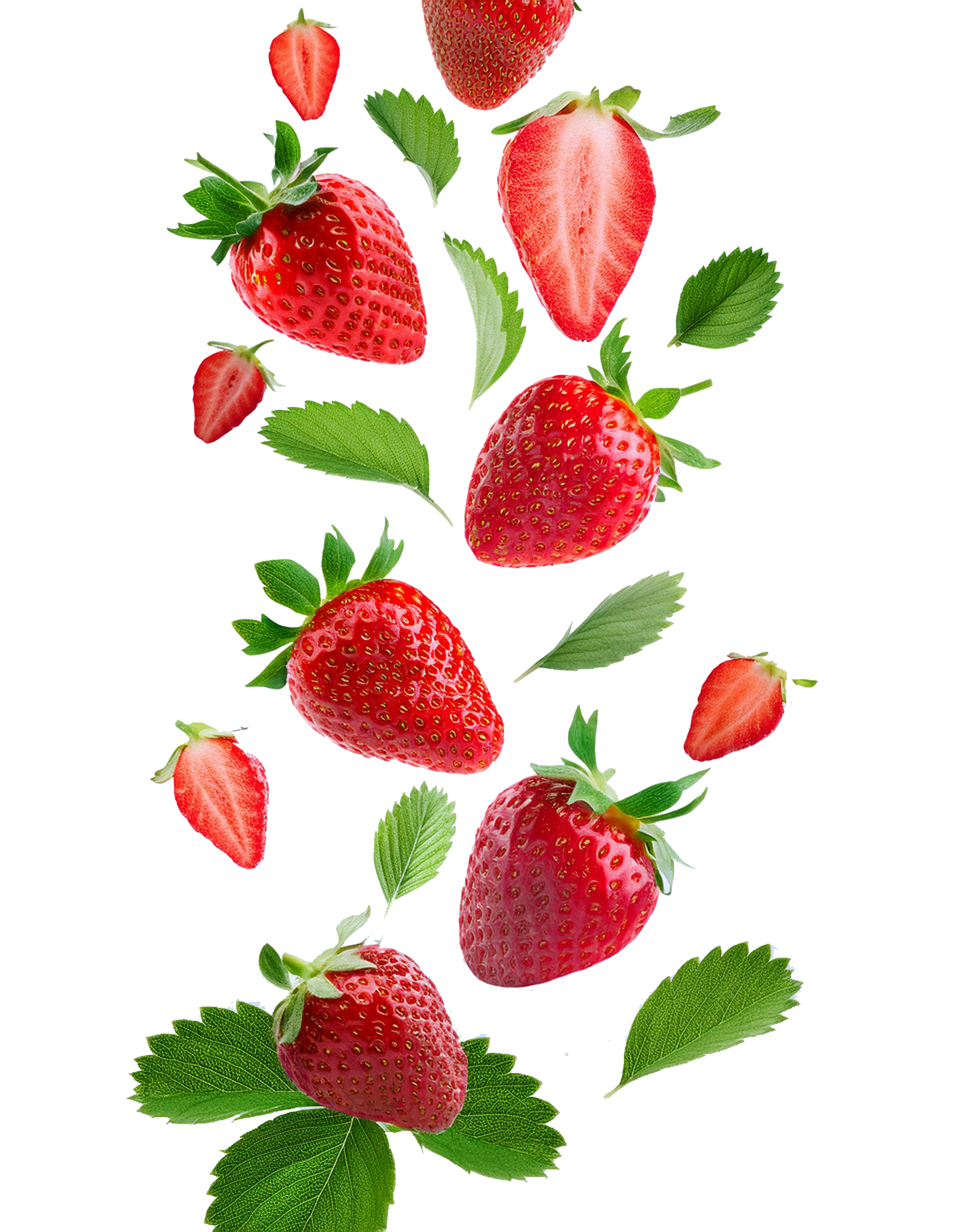 Des fraises fraîches et des feuilles de menthe flottant sur fond blanc.