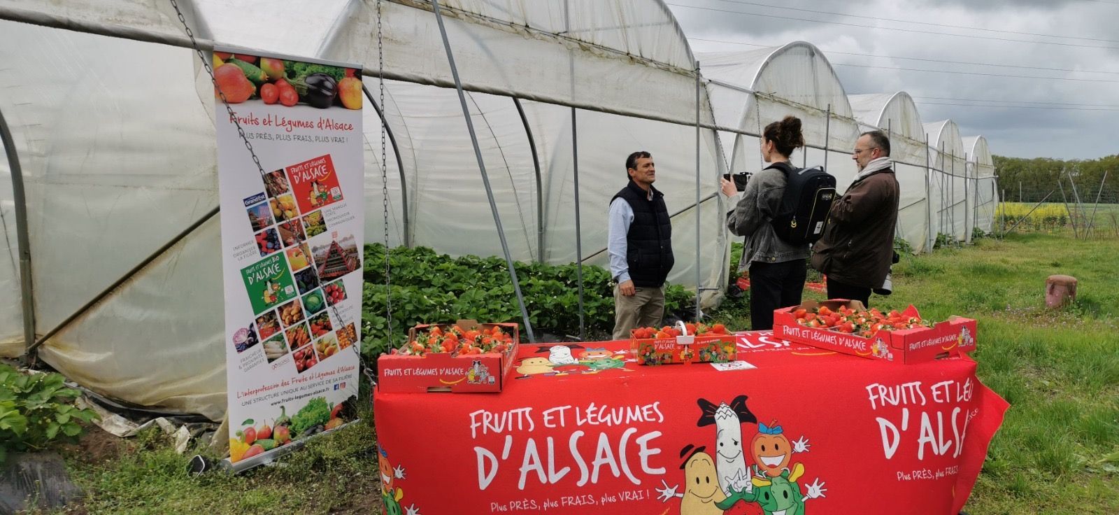 Des personnes près d'une table avec une nappe rouge et des fraises dans un champ devant des serres.