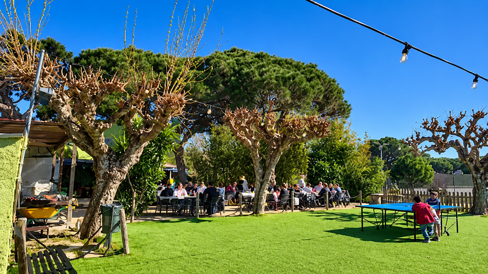 Parque soleado con césped verde, árboles podados, mesas de pícnic y personas sentadas bajo guirnaldas de luces.