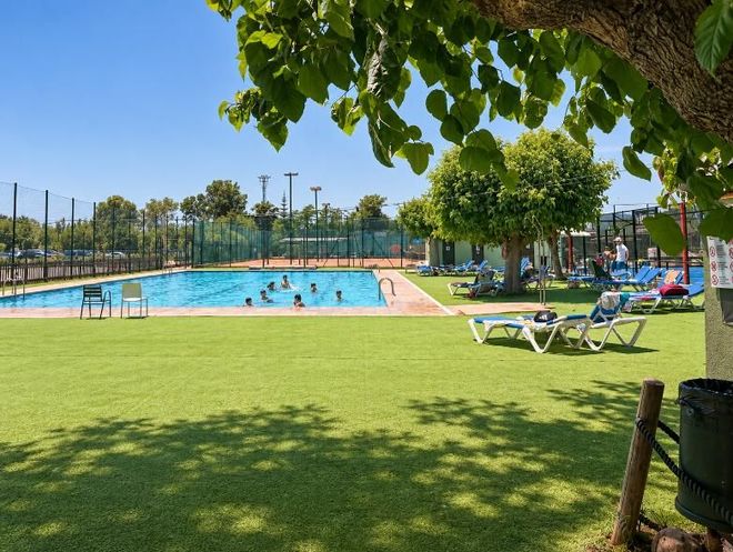 Piscina al aire libre con bañistas, tumbonas y árboles en un día soleado