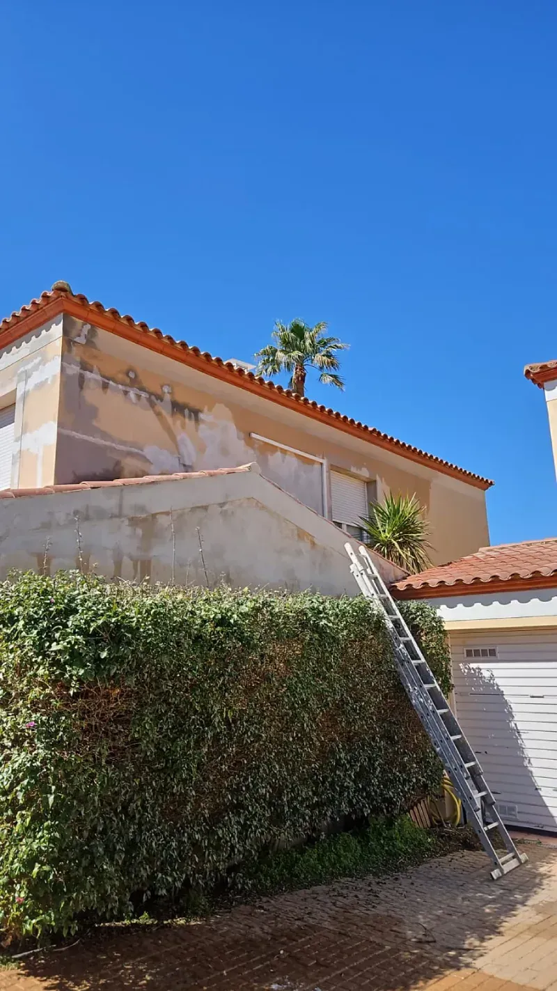 Casa de estuco bañada por el sol, con tejado de terracota, cielo azul, enredaderas trepadoras y un seto delante
