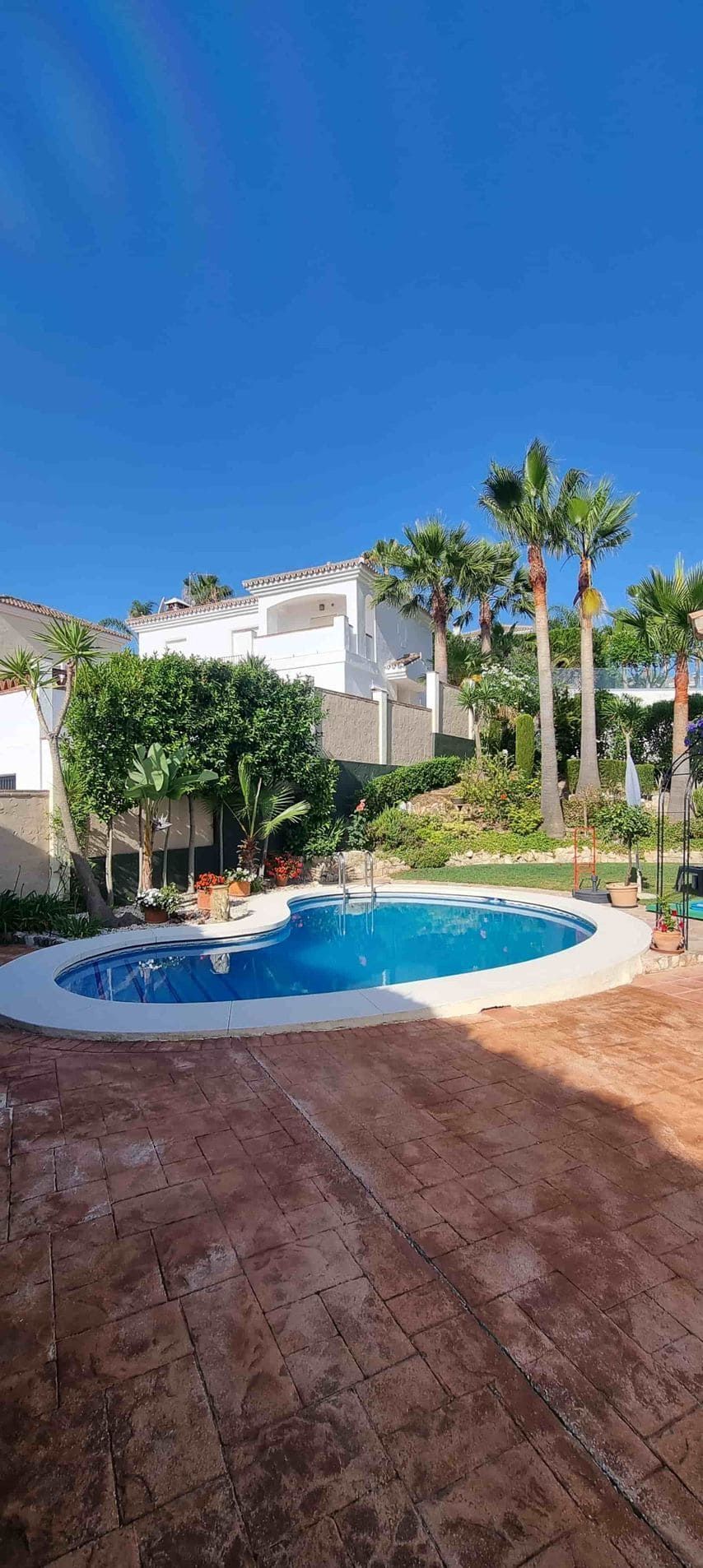 Una gran piscina rodeada de palmeras frente a una casa.