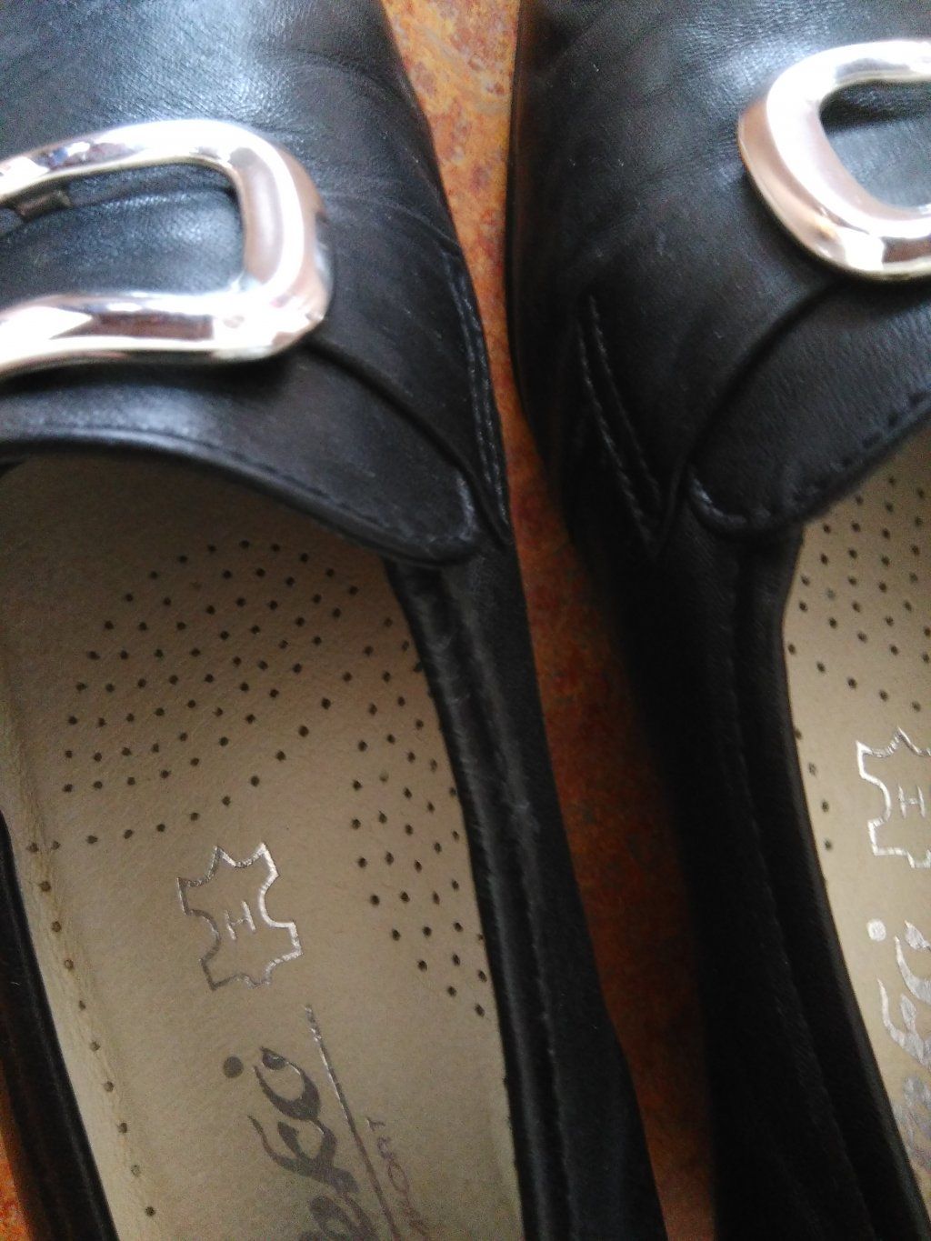 Alois und Cäcilia Duss