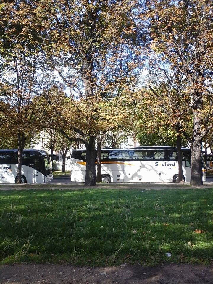 Deux bus touristiques blancs stationnés le long d'une rue bordée d'arbres aux feuilles d'automne, vus depuis un parc gazonné.