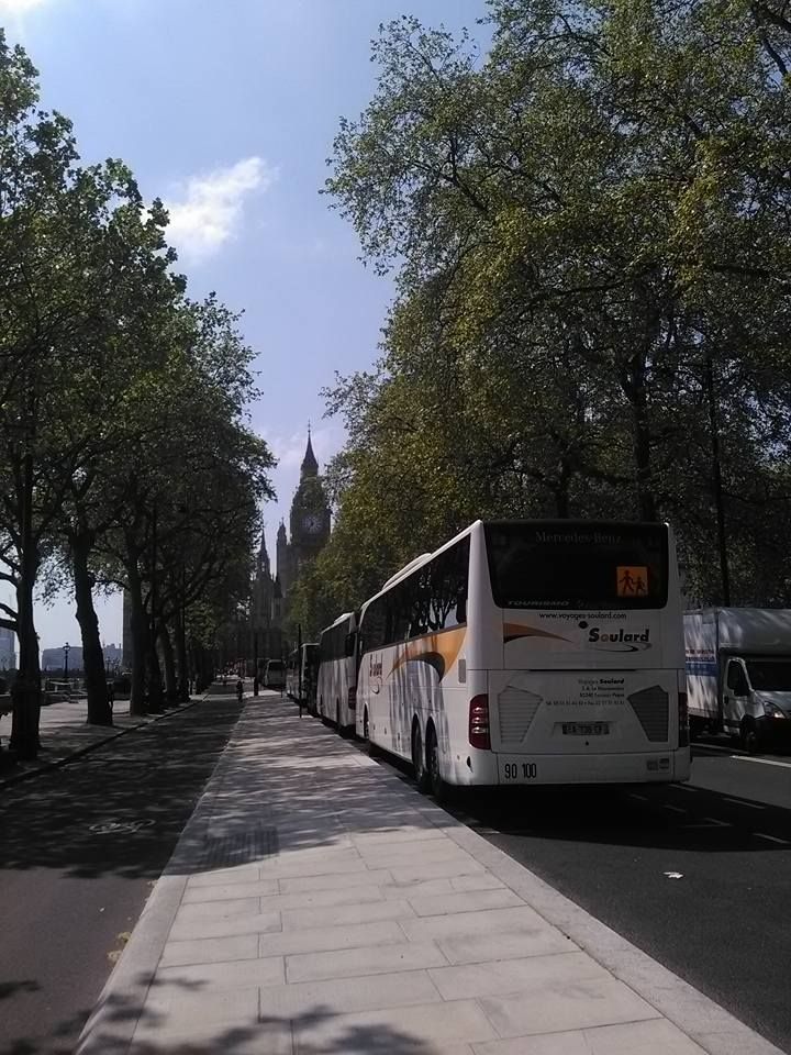 Un autocar blanc stationné le long d'une rue arborée de Londres, avec le Parlement visible au loin.